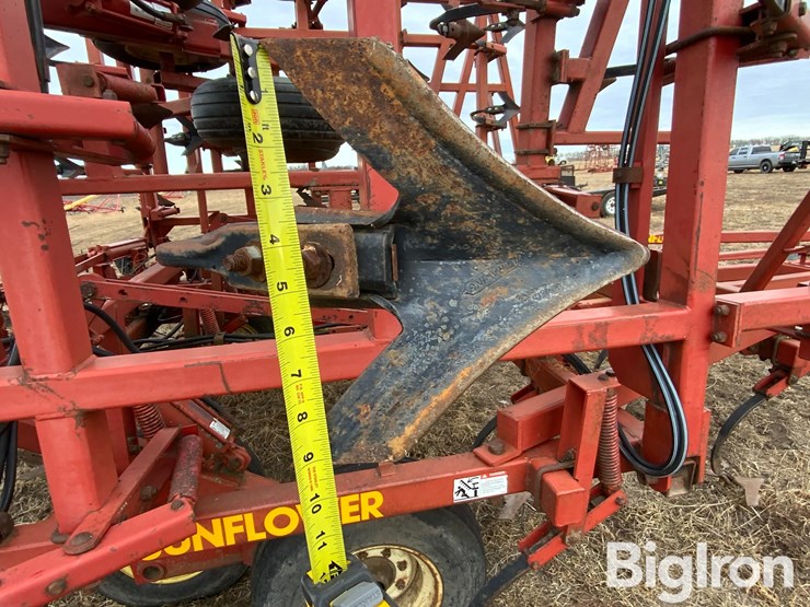 sunflower-5652-image-11