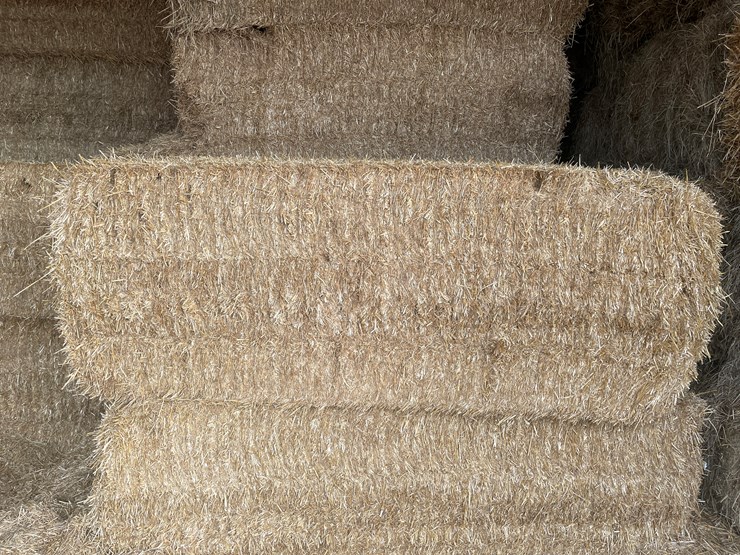 #7417-•-(30)-big-square-bales-of-wheat-straw-(rice-lake,-wi)-image-2