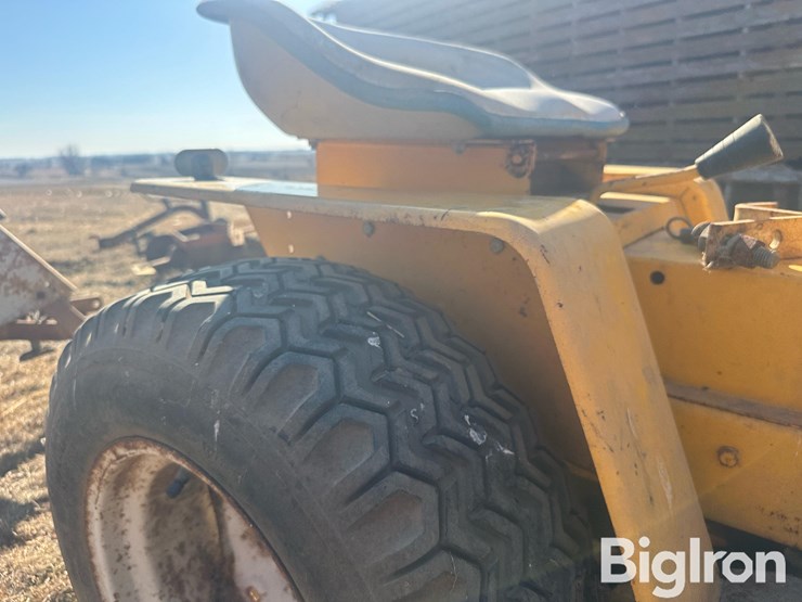 international-cub-image-19