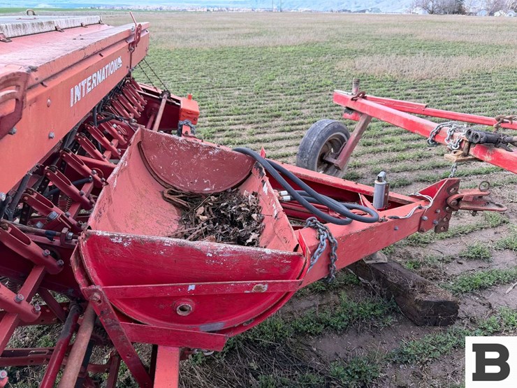 international-10-image-20