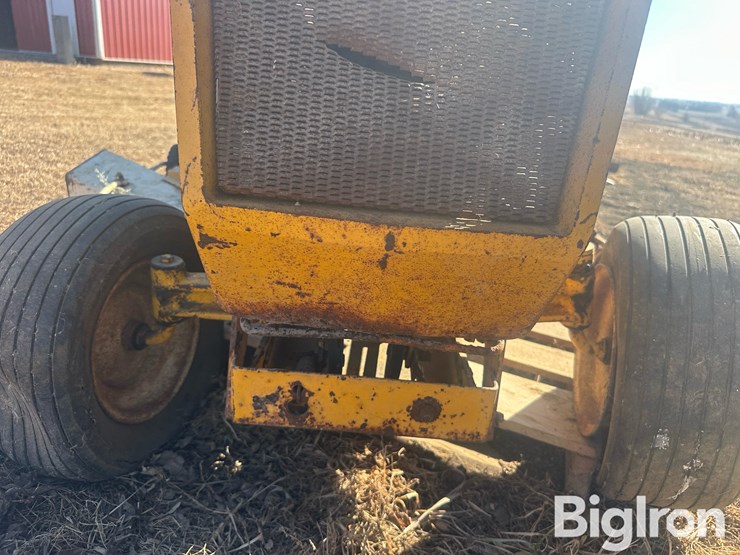 international-cub-image-14