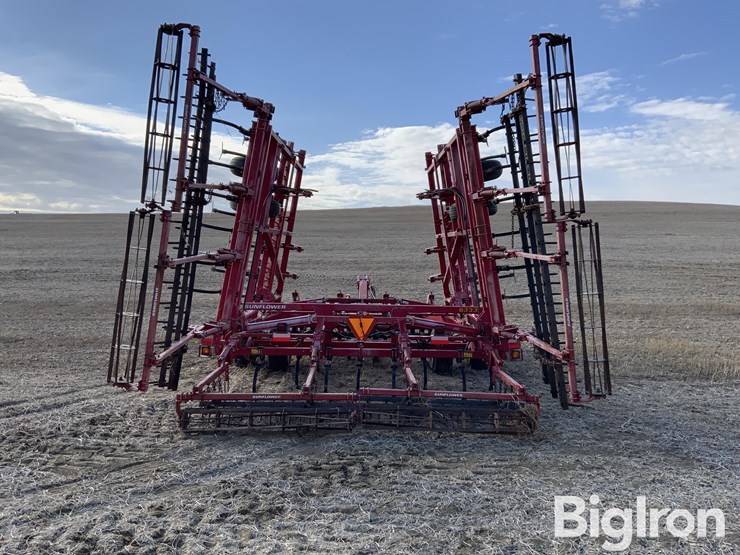 2011-sunflower-6333-image-6