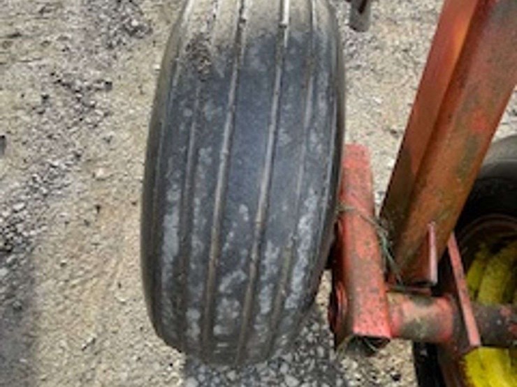 sunflower-4411-image-22