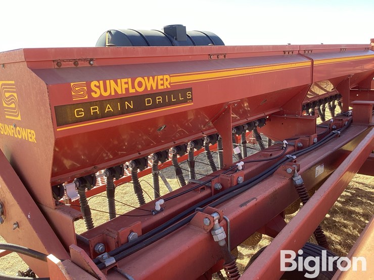 sunflower-9432-40-image-10