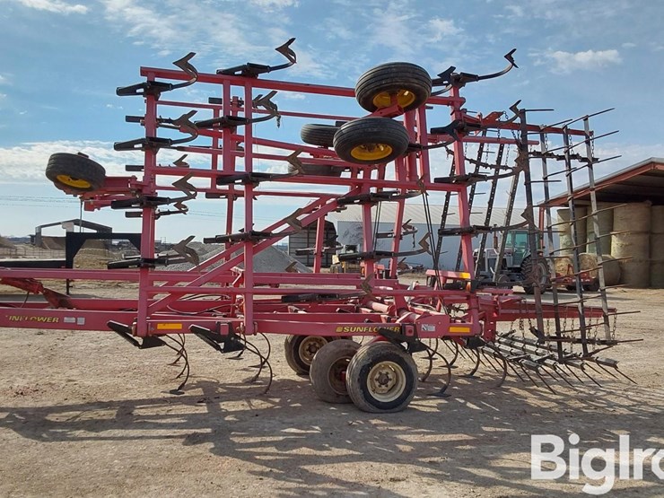 sunflower-5035-28-image-10