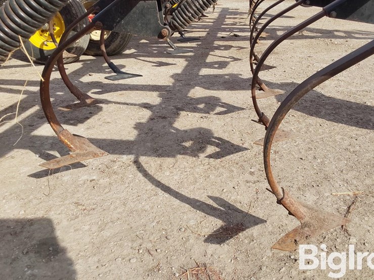 sunflower-5035-28-image-20