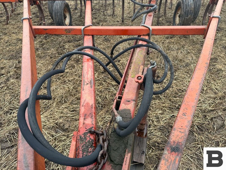 international-55-image-16