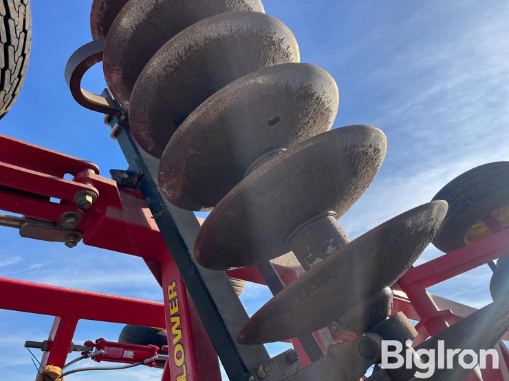 sunflower-1434-26-image-16