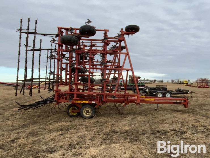 sunflower-5652-image-4