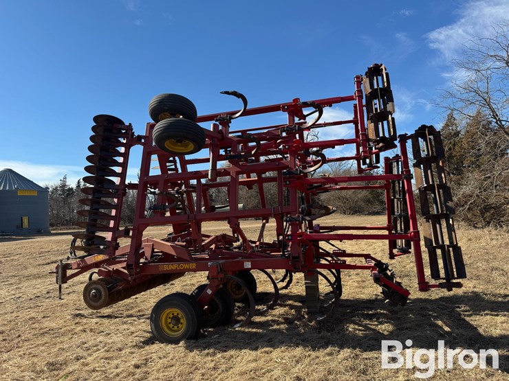 sunflower-4232-image-8