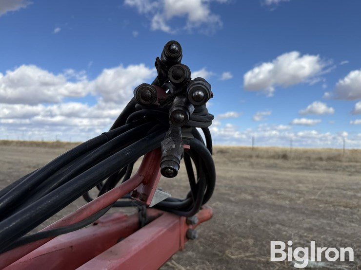 sunflower-1434-36-image-10