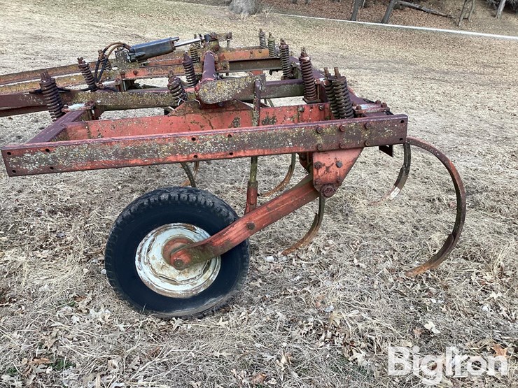 international-13-image-15