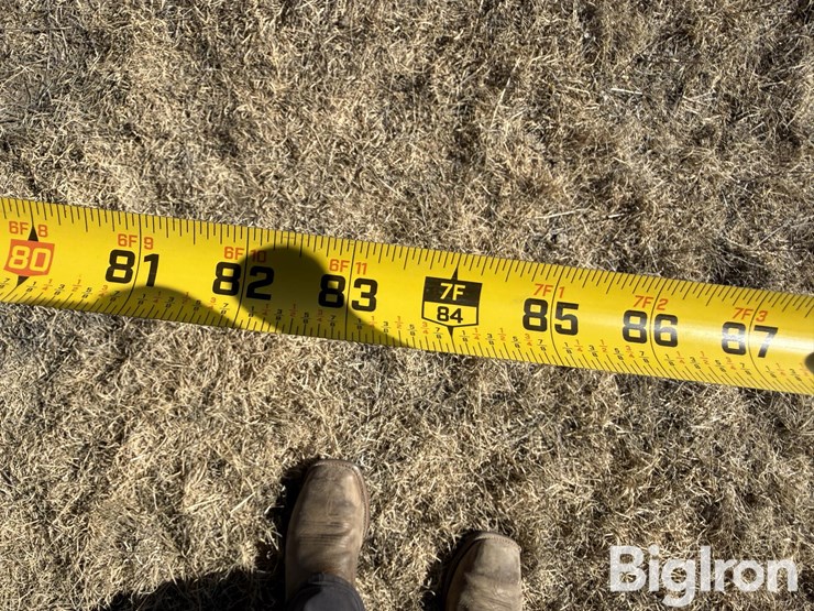 hamby-wf321-image-19