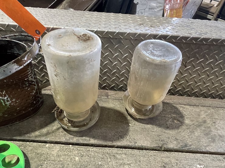 #7229-•-(2)-glass-chicken-waters-image-10