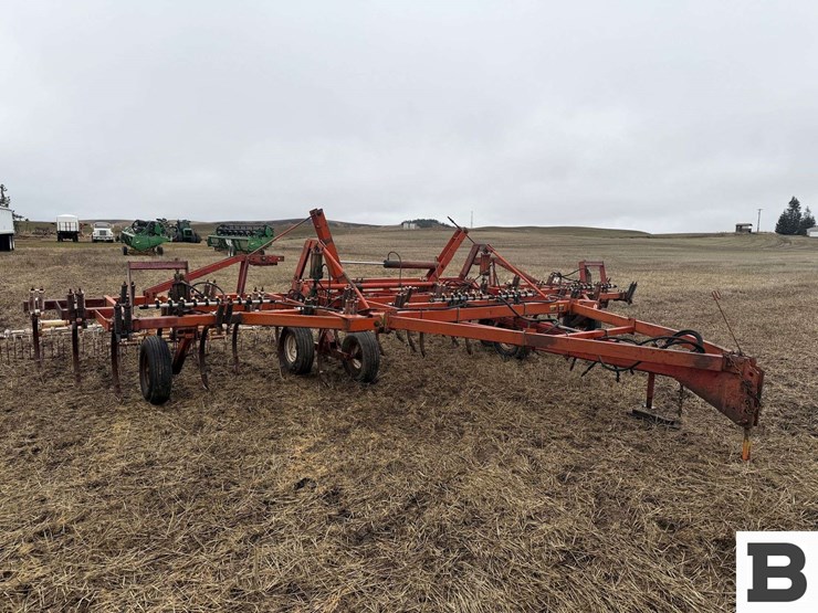 international-55-image-2