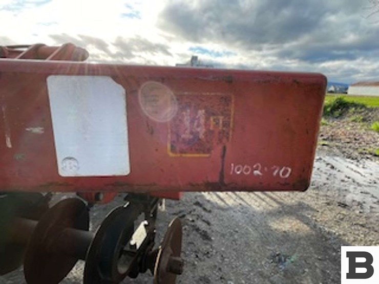 sunflower-4411-image-9