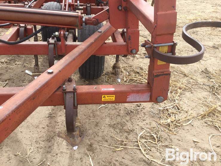 sunflower-5531-image-10