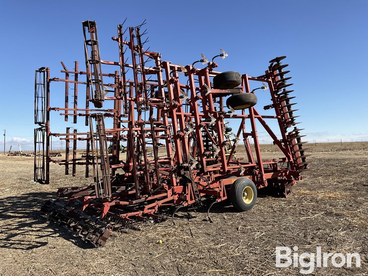 sunflower-6432-33-image-5