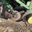 john-deere-7000-image-14