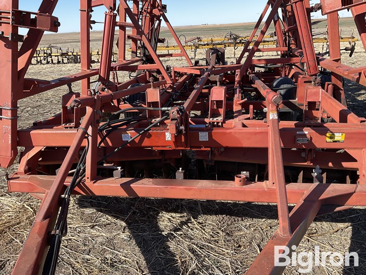 sunflower-6432-33-image-14