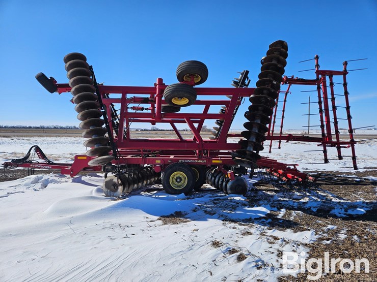 sunflower-1435-image-8