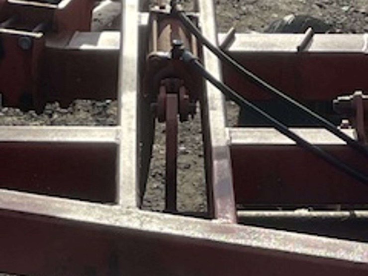 sunflower-4411-image-6