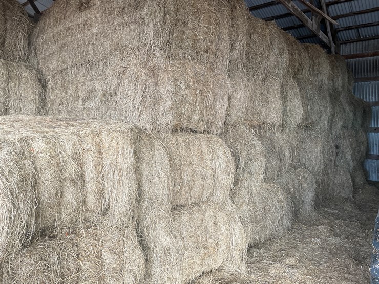 #7414-•-(30)-big-square-bales-of-beef-hay-(rice-lake,-wi)-image-8