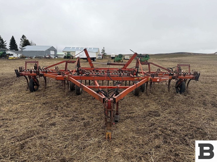 international-55-image-4