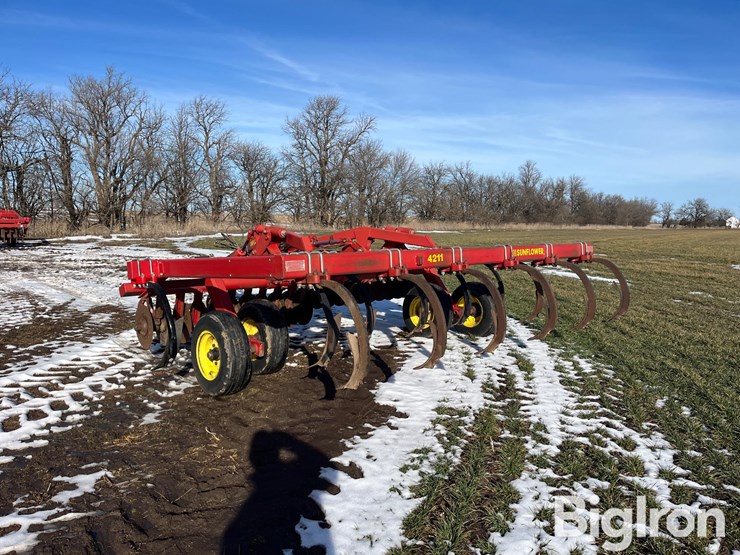 sunflower-4211-14-image-7