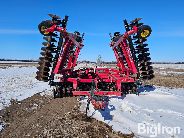 sunflower-1435-image-2