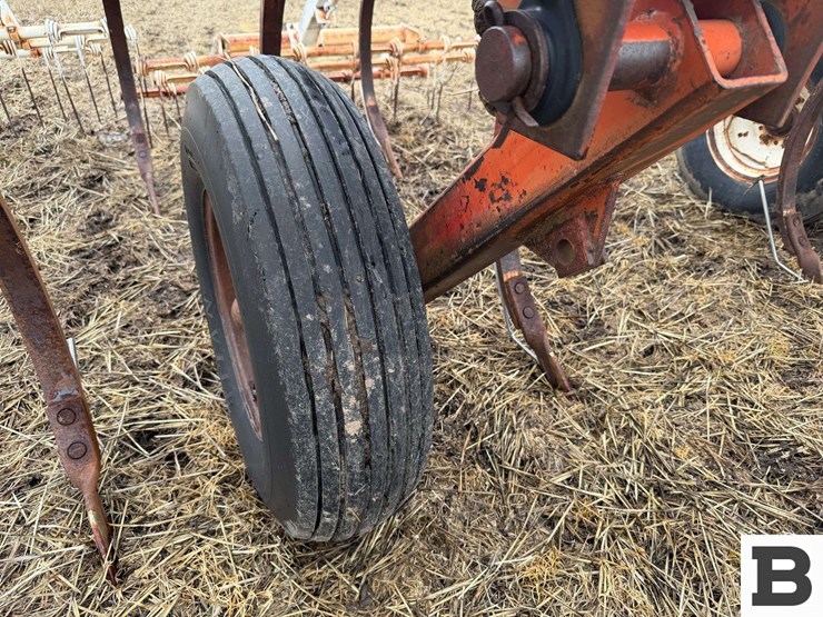 international-55-image-10