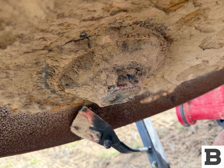 2010-sunflower-1234-18-image-41