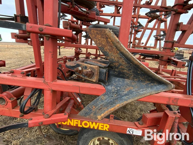 sunflower-5652-image-9