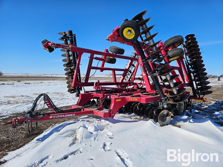 sunflower-1435-image-1