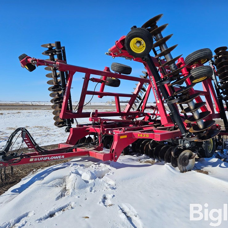SUNFLOWER 1435