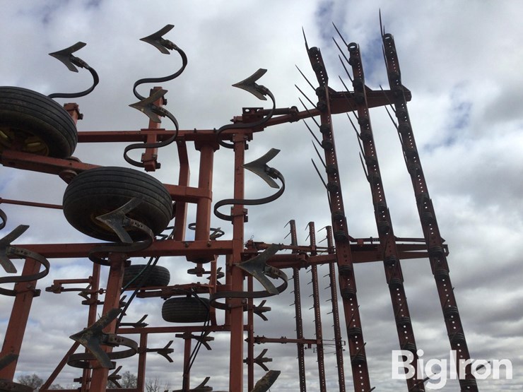 sunflower-5531-image-18