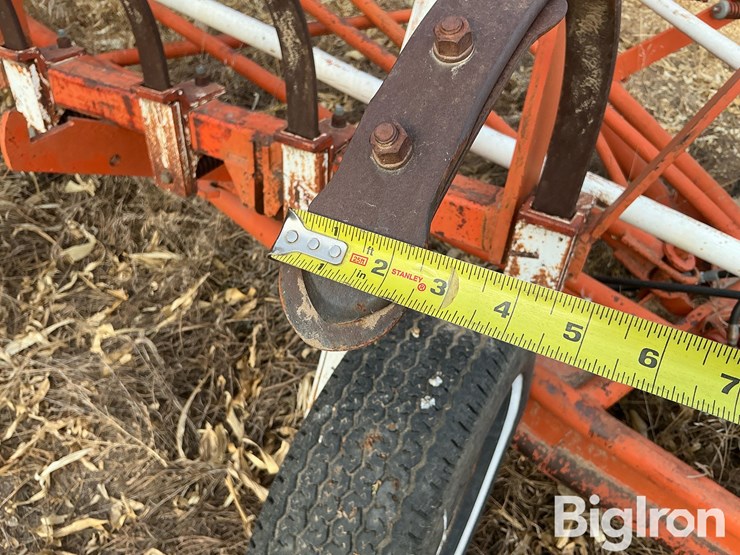 international-3-image-11