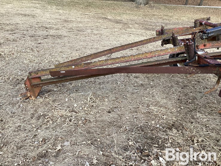 international-13-image-13