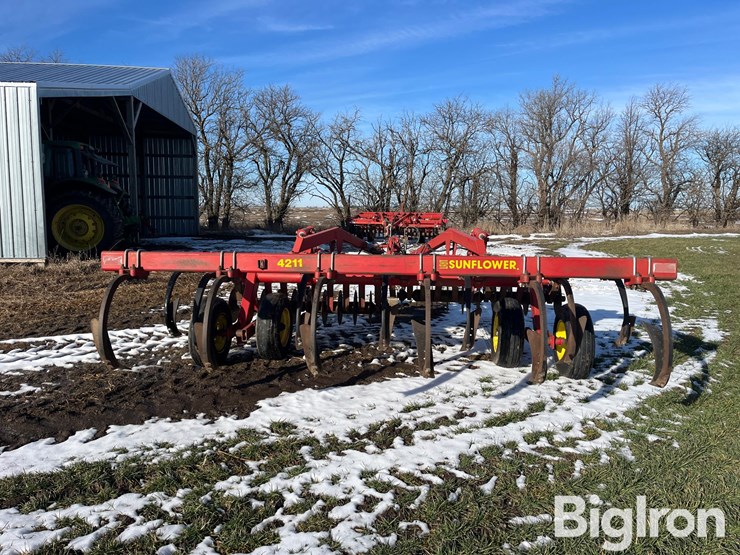 sunflower-4211-14-image-6