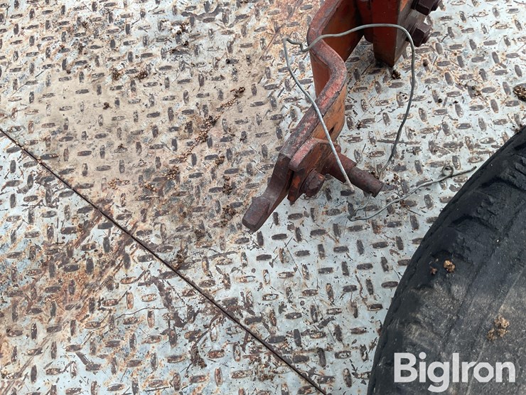 international-3-image-10