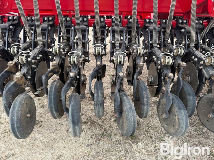 2014-sunflower-9435-40-image-17