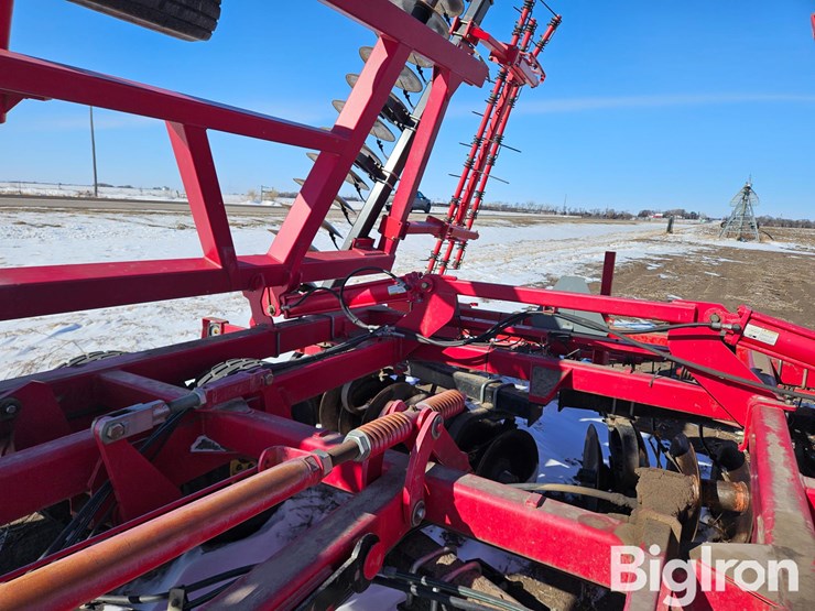 sunflower-1435-image-17