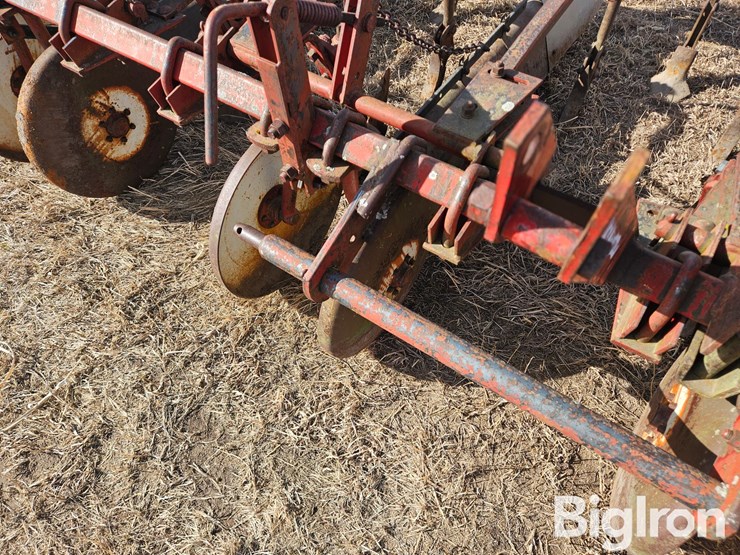 international-470-image-15