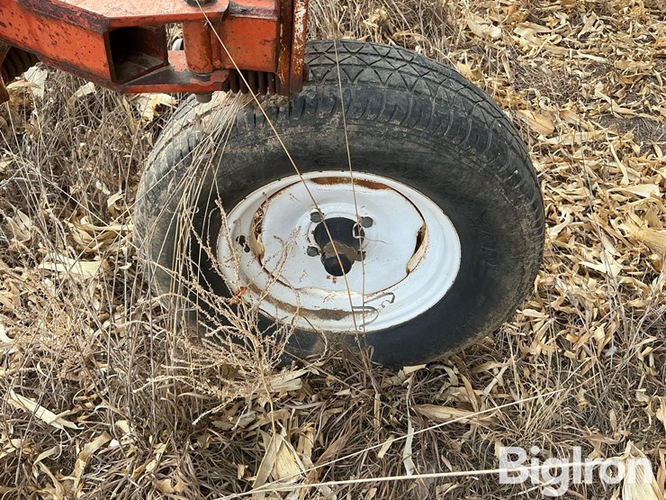 international-3-image-19