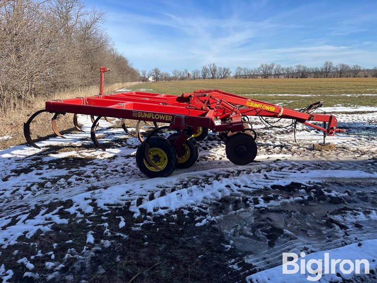 sunflower-4212-14-image-4