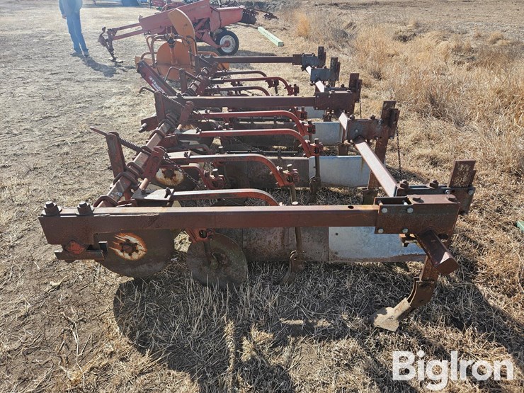 international-470-image-8