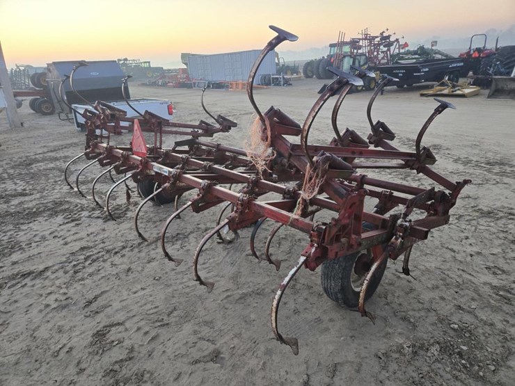 international-45-image-6