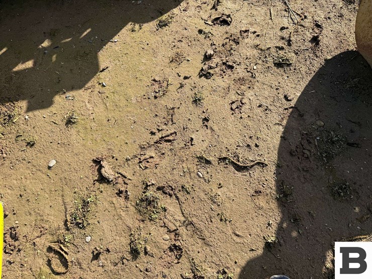 john-deere-455-image-31