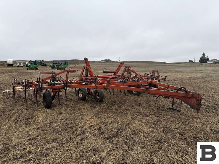 international-55-image-3