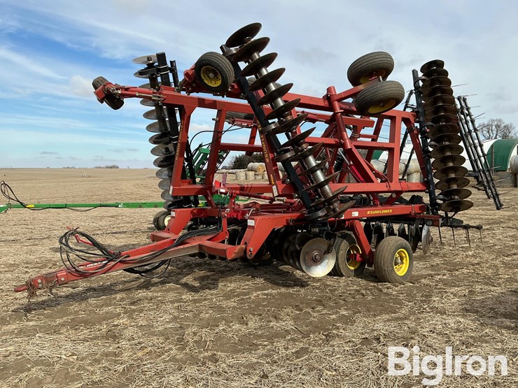 sunflower-1434-29-image-1